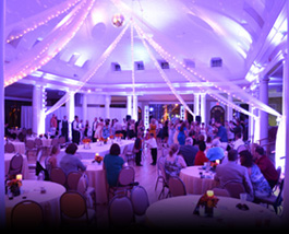 Reception Uplighting